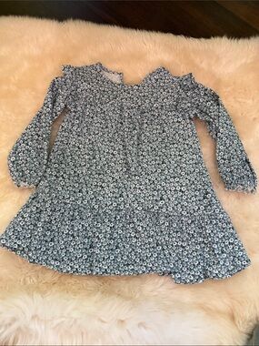 Zara blue floral long sleeve dress